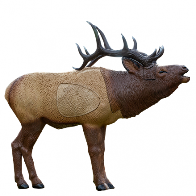 RH 1-3 woodland elk